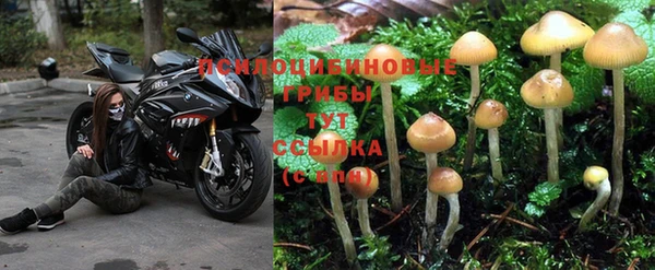 кокаин колумбия Абинск