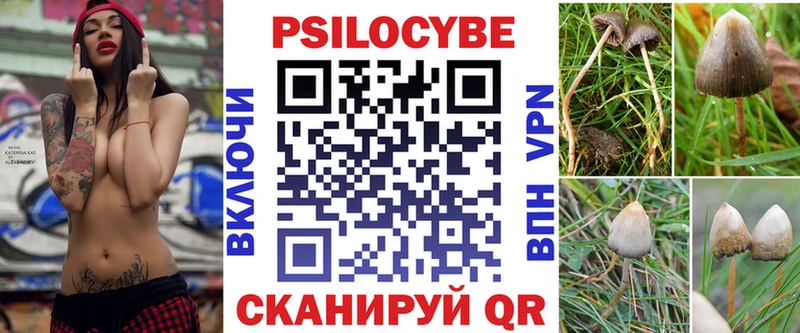 Галлюциногенные грибы Magic Shrooms сколько стоит Димитровград