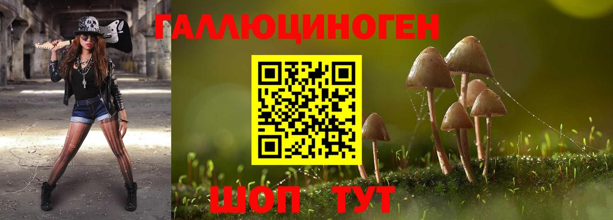 Димитровград  Галлюциногенные грибы мухоморы  Вход с VPN  Галлюциногенные грибы мицелий 