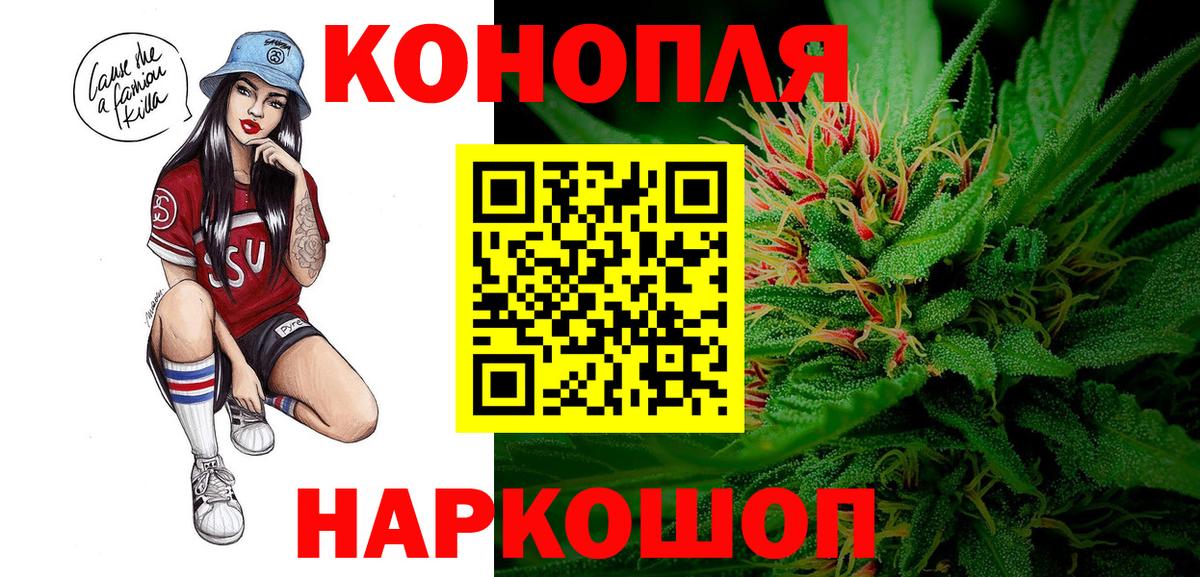 Бошки Шишки тримм Димитровград